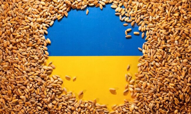 Кремль, как и 100 лет назад, использует продовольствие как оружие, — нардеп Пушкаренко