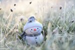 Погода у Львові 17 січня: сонячна стихія потішить українців перед вихідними