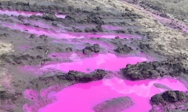 Розлив рожевої речовини під Рівне