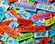 "Обычный" разговор двух полиглотов поразил интернет: видео