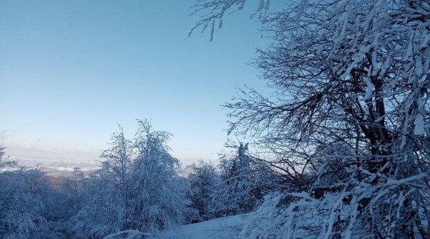 Зима. Фото: Знай. UA