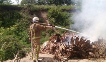 Під Києвом горіло кладовище