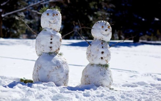 Лютая ненависть: банда пушистых вандалов жестоко уничтожает снеговиков