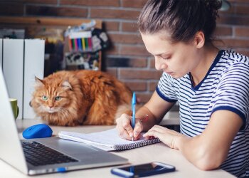 Дистанціонка. Фото: Зебра ТВ