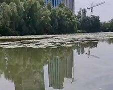 Озеро Небреж на Осокорках у Києві