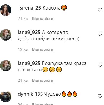 Скріншот коментарів