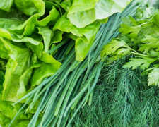 Свежая зелень / фото: depositphotos