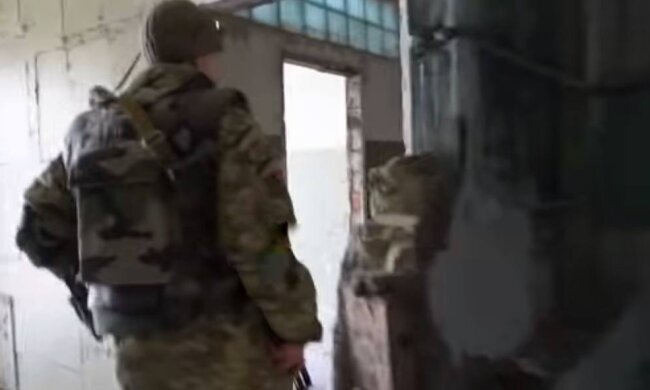 Военные, фото: скриншот из видео