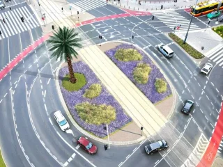 Варшавская пальма на Рондо де Голля — новое зеленое пространство