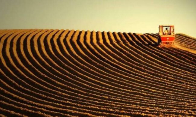 Мораторій на продаж сільськогосподарських земель продовжили на рік