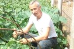Выращиваем огурцы, скриншот YouTube