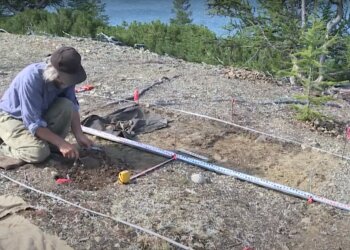 археолог, скриншот из видео