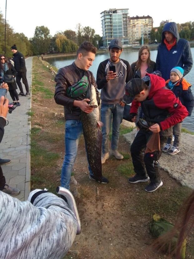 Vj1A688Ps26n97CQskBffcUzX4mTrLPaf5IQ56j7 - У франківському озері зловили величезного сома (Znaj.ua) - rai.ua