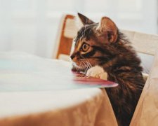 5 простых способов перестать чувствовать себя неловко