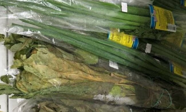 Публікація каналу народний Ревізор: Telegram