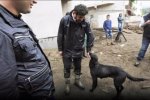 З повінню в Тбілісі бореться екс-динамівець Каха Каладзе