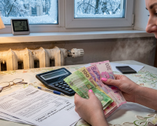 "Зимова" субсидія. Фото: згенероване ШІ