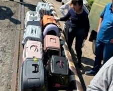 Модульне містечко для постраждалих від ракетного удару у Львові