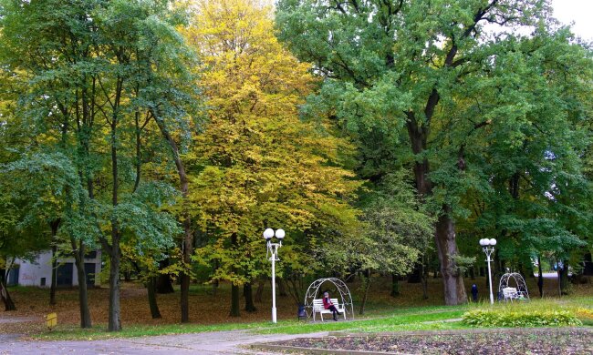 Вінниця, парк, декоративне фото