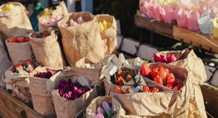 Тюльпани, квіти, фото із соцмереж