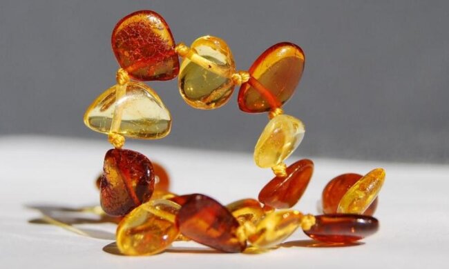 Унікальна знахідка в шматку бурштину може переписати історію