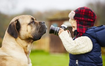 Авторские фотографии защитят от воровства