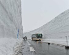 Снегопад, фото - Пикабу