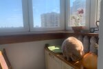 Прогноз погоды, facebook.com/tala.didenko