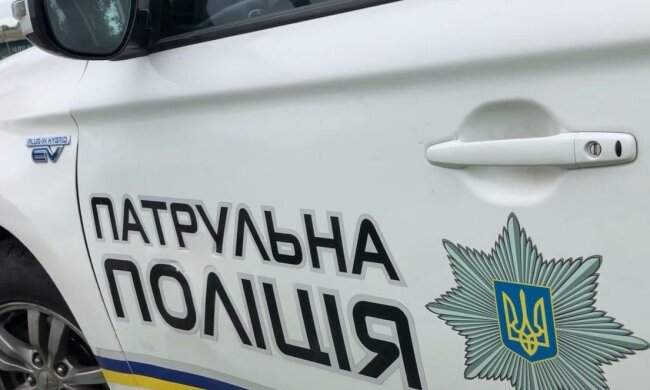 В Запорожье пьяный отец надругался над семилетней принцессой, пока жена мучилась в роддоме