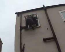 Британського злодія-невдаху рятували з пожежниками