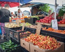 Забудьте про сало: нові ціни на продукти перетворять харків'ян на веганів