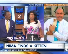 Кошеня заволоділо прямим ефіром на ТБ