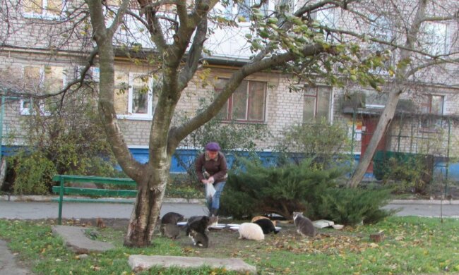 Пенсія, скріншот: YouTube