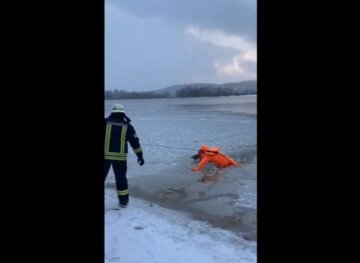 В Киеве спасли провалившегося под лед пса, скриншот из видео