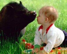 Самые забавные комментарии читателей Знай.ua заставят забыть обо всем на свете