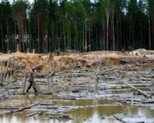Луценко прикриває "бурштинову мафію" показовими затриманнями