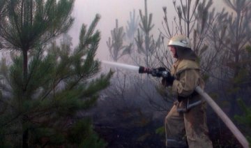 Майже 100 га лісу горіло на Хмельниччині (фото)