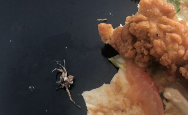 Павук в їжі Mcdonald's