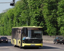 У Львові "втомився" міст, Садовий ризикує загриміти до "списку друзів" Кличка: кадри скандалу