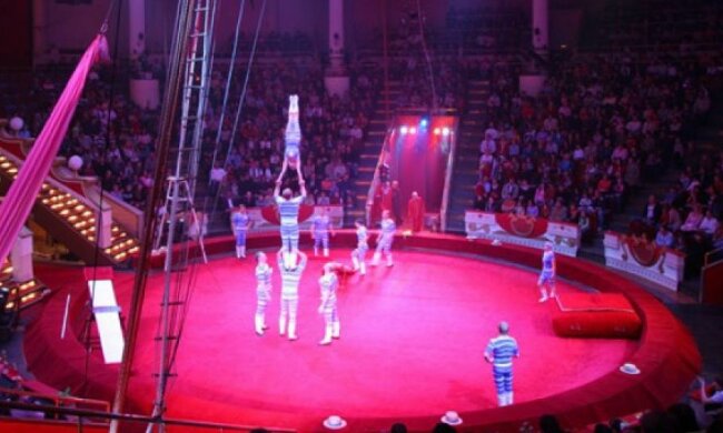 Національний цирк приготував номер для Книги Гіннеса