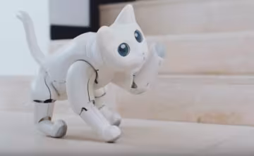 MarsCat, Хвиля