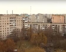 Будинок-вулик у Луцьку, скріншот відео