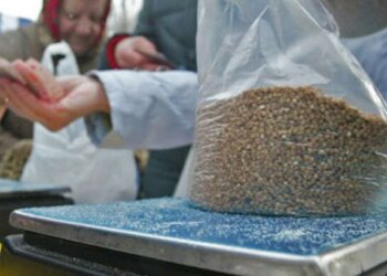 Цена на гречку, фото: dsnews.ua