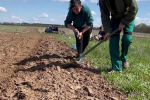Робота на городі. Фото: скрін youtube