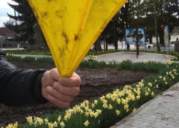 Наруга над прапором, фото: Інна Суверток / Facebook