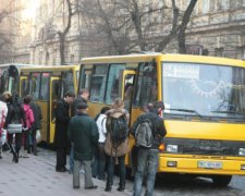 Авось повезет: сколько маршрутчиков работают нелегально