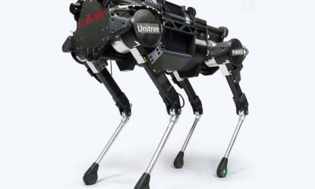 Китайцы приручили робота-собаку и засняли это на видео