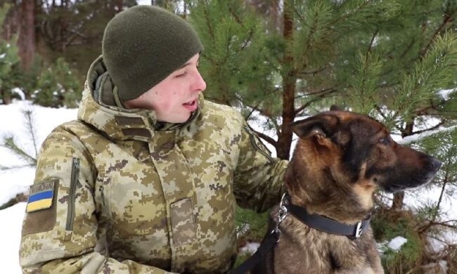 Вівчарка Етна, фото: Навчальний кінологічний центр