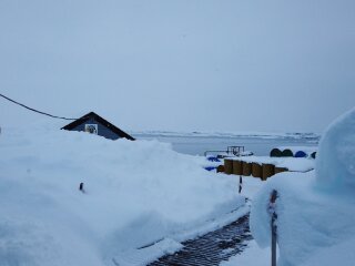 Фото: Национальный антарктический научный цент