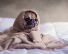 перевод часов